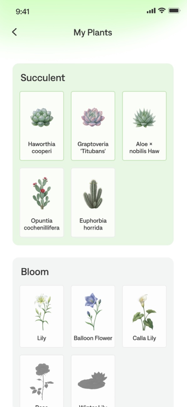 My Plants: succulents and blooms collected from completed sessions